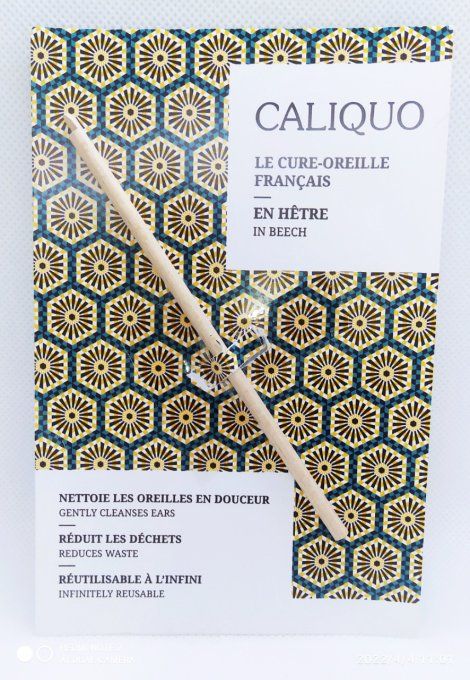 Cure oreille français en Hêtre
